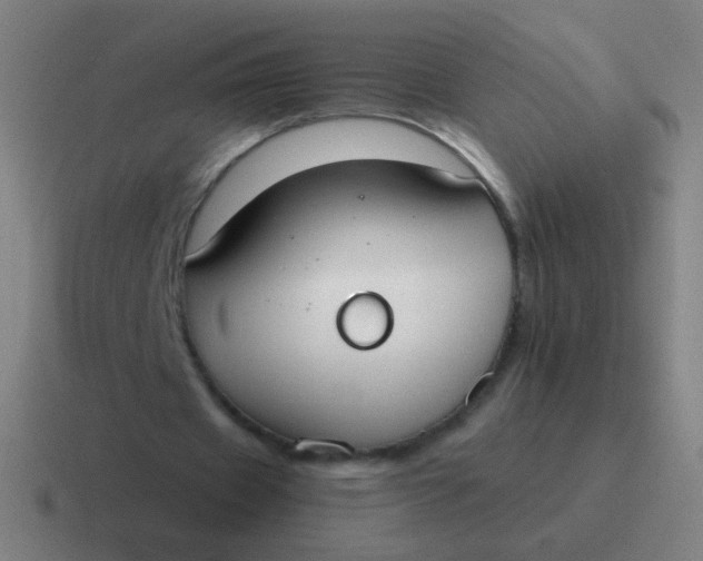 X0000116840433200912312058