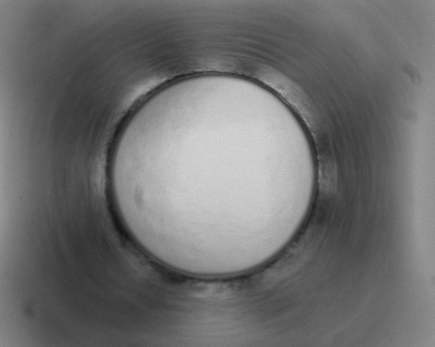 X0000116840434200912312058