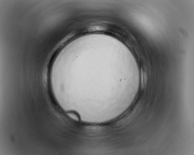 X0000116840435200912312058