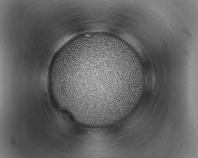 X0000116840436200912312058