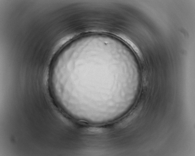 X0000116840437200912312058