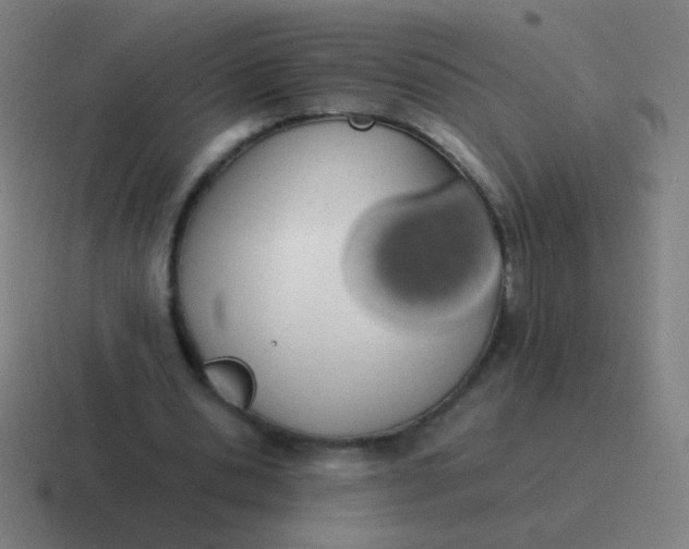 X0000116840438200912312058