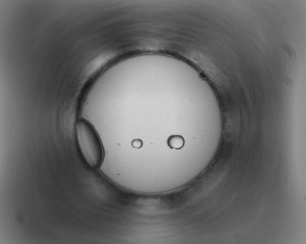 X0000116840440200912312058