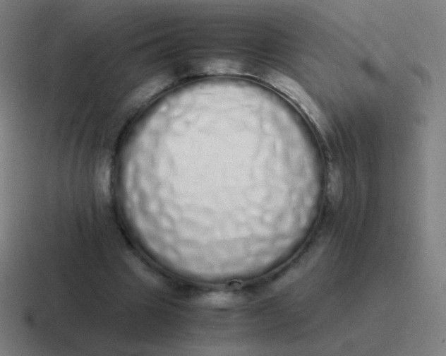 X0000116840441200912312058