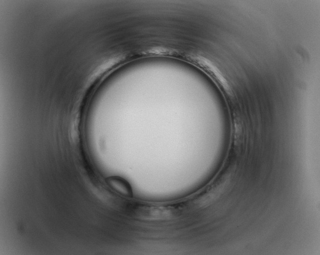 X0000116840443200912312058