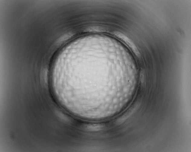 X0000116840445200912312058