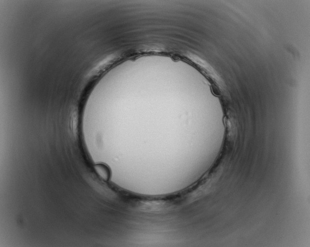 X0000116840446200912312058