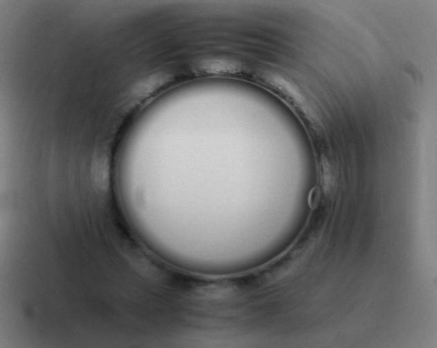 X0000116840447200912312058