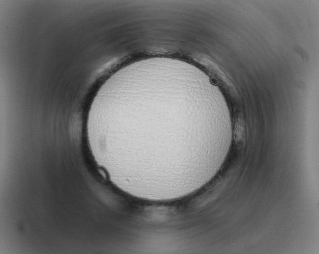 X0000116840448200912312058