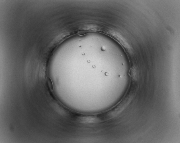 X0000116840449200912312058