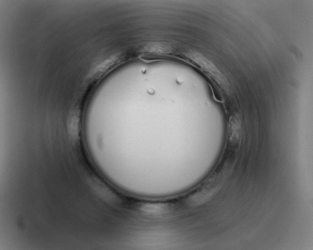 X0000116840450200912312058