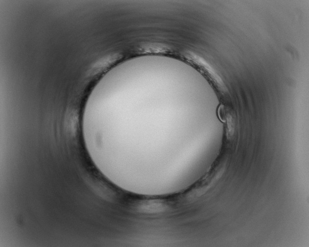 X0000116840451200912312058