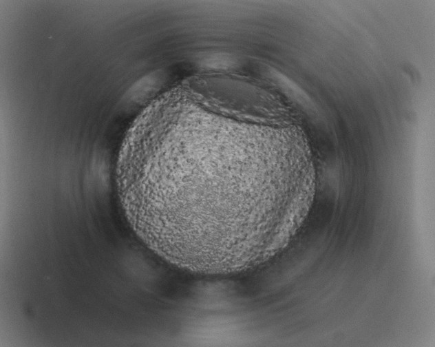 X0000116840452200912312058