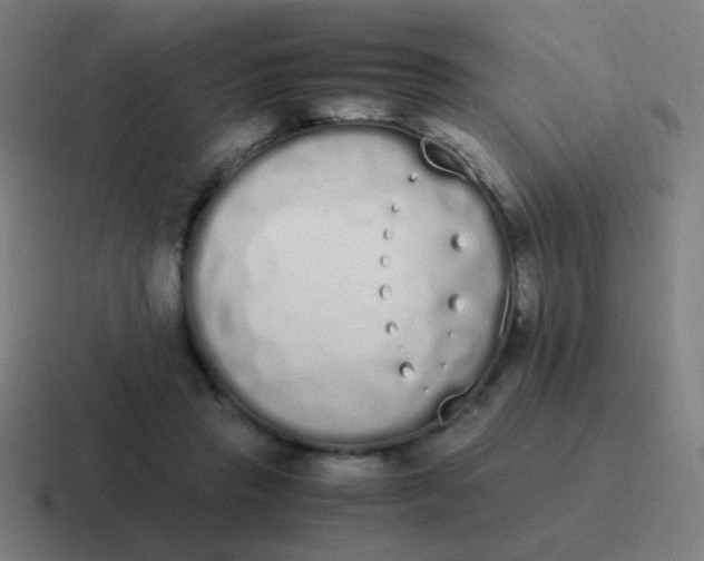 X0000116840453200912312058