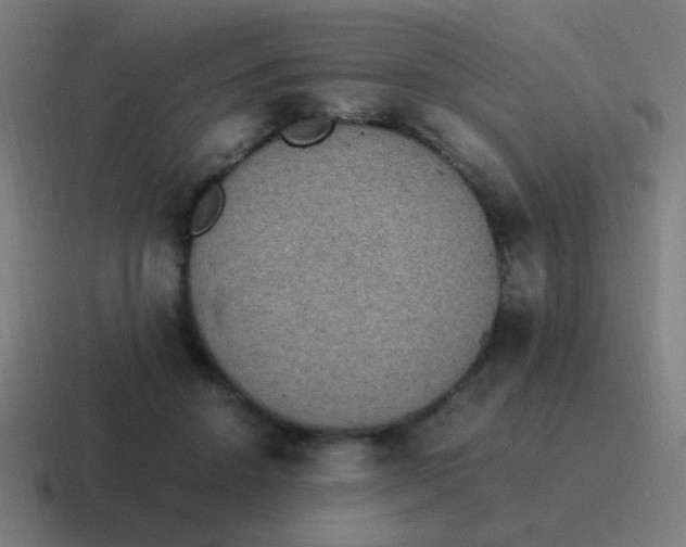 X0000116840456200912312058