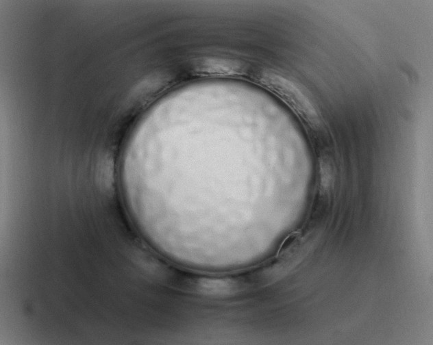 X0000116840457200912312058