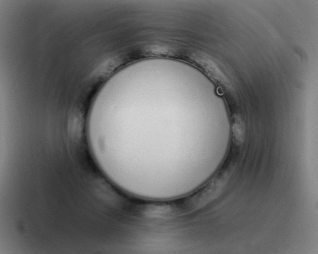 X0000116840458200912312058