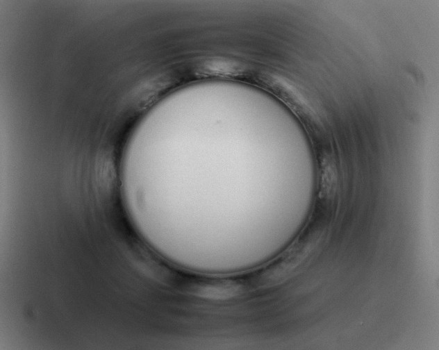 X0000116840459200912312058