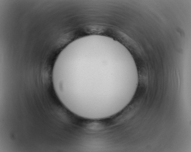 X0000116840460200912312058