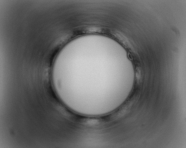 X0000116840462200912312058