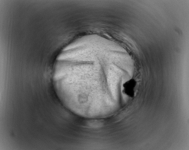 X0000116840465200912312058