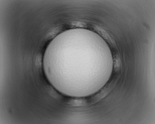 X0000116840466200912312058