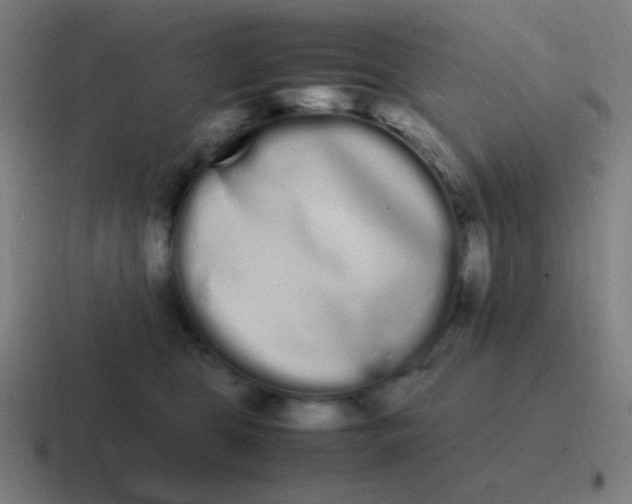 X0000116840469200912312058