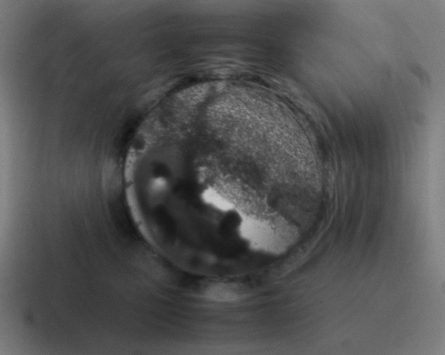 X0000116840471200912312058