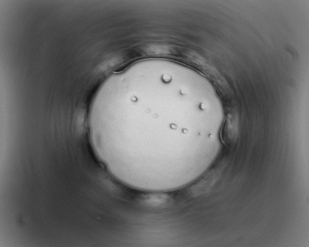 X0000116840474200912312058