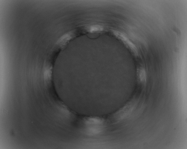 X0000116840475200912312058