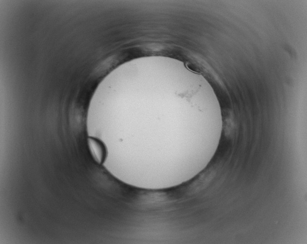 X0000116840476200912312058