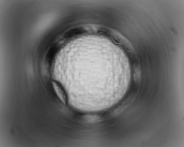 X0000116840477200912312058