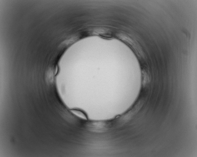 X0000116840478200912312058