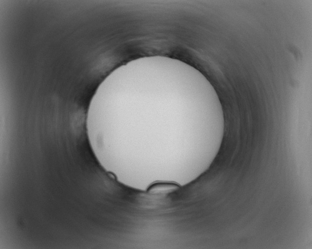 X0000116840480200912312058