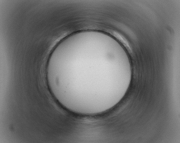 X0000116840481200912312058