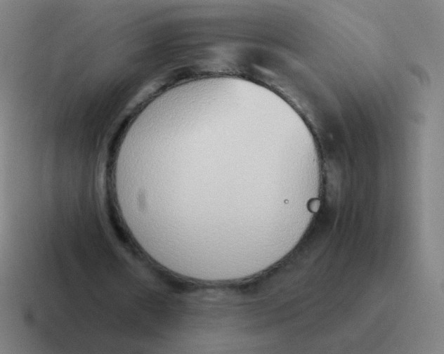 X0000116840482200912312058