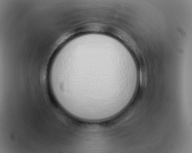 X0000116840483200912312058