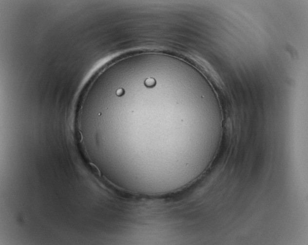 X0000116840484200912312058