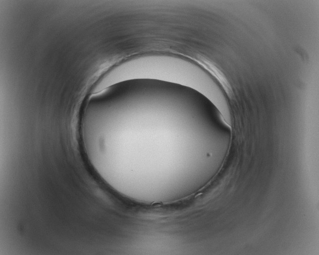 X0000116840485200912312058