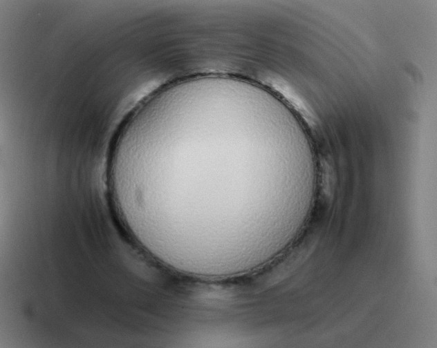 X0000116840486200912312057