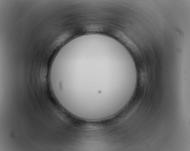 X0000116840490200912312057