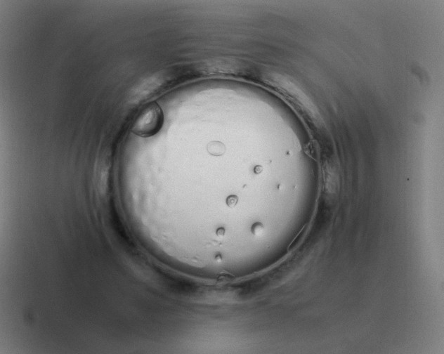 X0000116840491200912312057