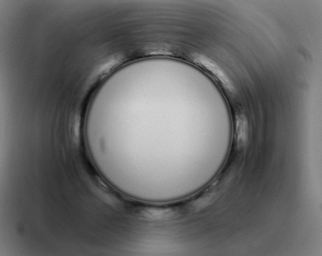 X0000116840494200912312057