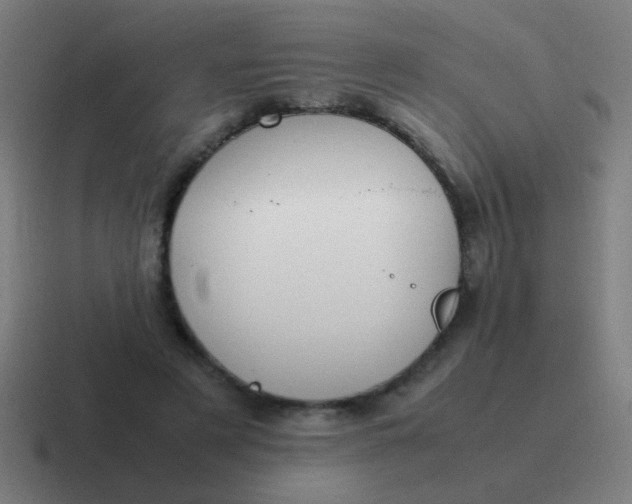 X0000116840497200912312057