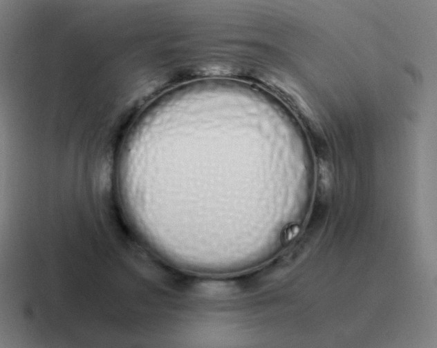 X0000116840499200912312057