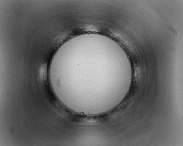 X0000116840502200912312057