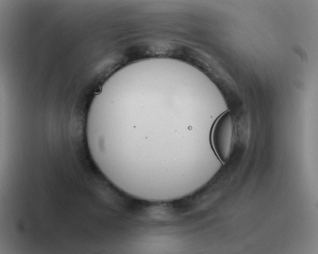 X0000116840505200912312057