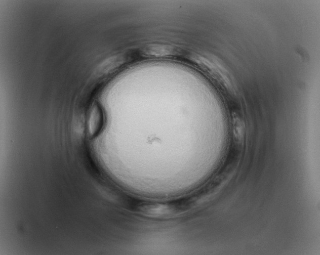 X0000116840507200912312057