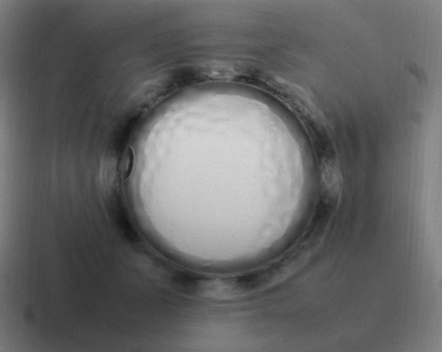 X0000116840511200912312057