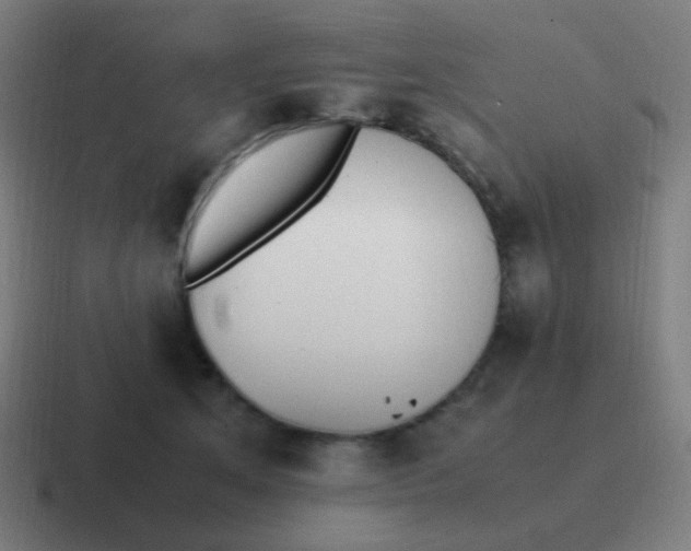 X0000116840513200912312057